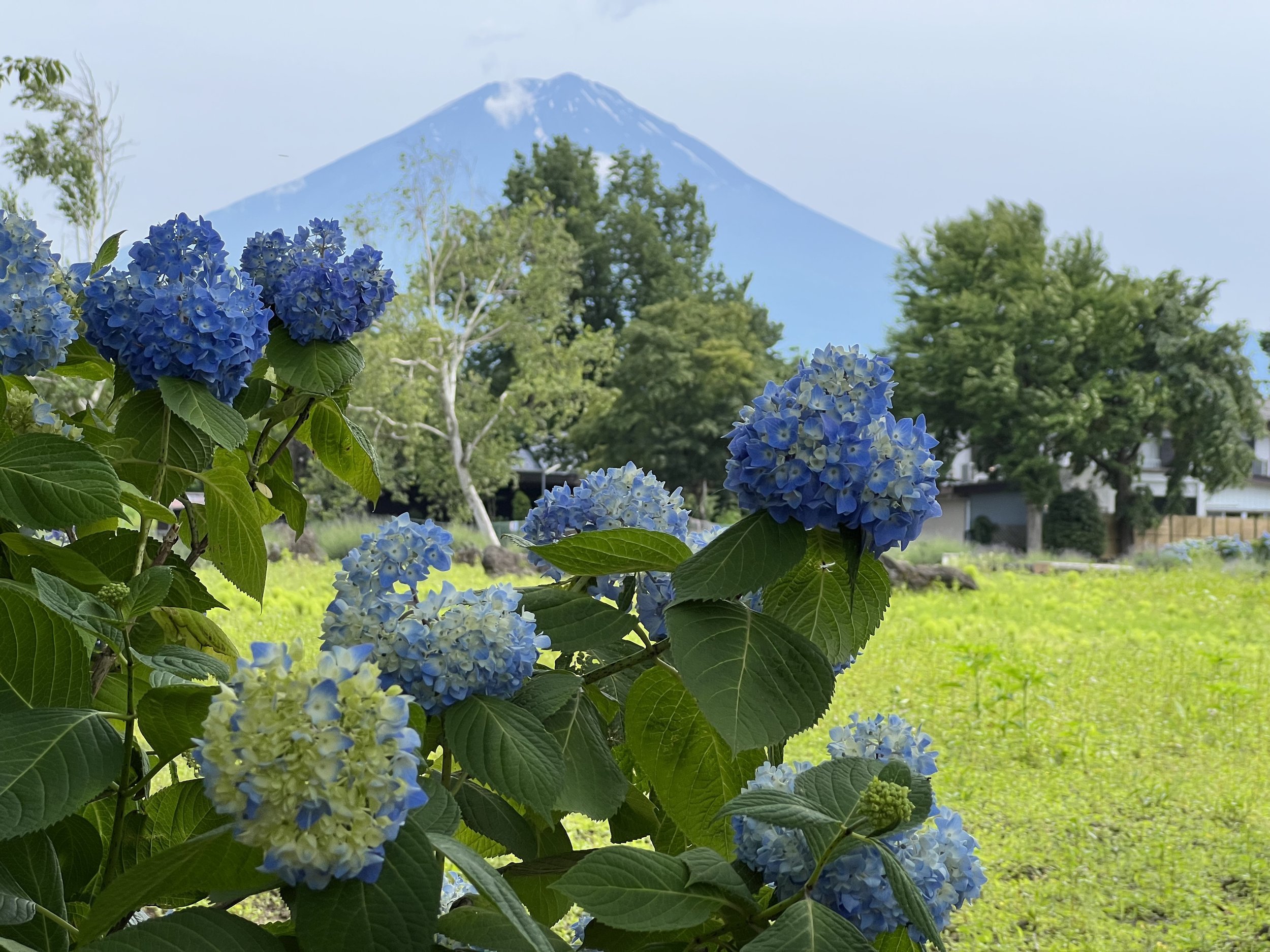 🌳 빛 스포츠 공원 (히카리 스포츠 코엔) 이미지 11